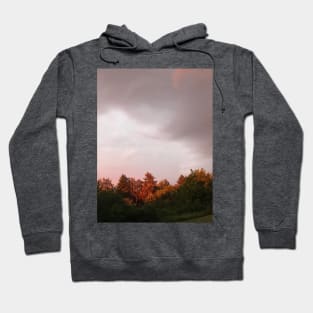 Natural color splendor of the sky before storm with red trees sun reflection Hoodie